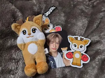 NEXZ NEXZOO 세이타 SEITA 세이디