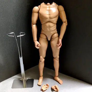 1/6 바디 스탠드 큐티즈 피규어 12인치