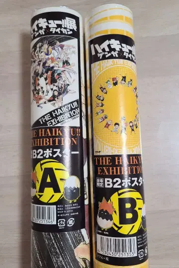 하이큐 B2 포스터 키 비주얼 회장 한정 센다이 원화전 2점 세트