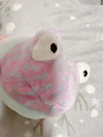 Ty 봉제 인형 물고기 보라색 x 핑크, 컬러풀