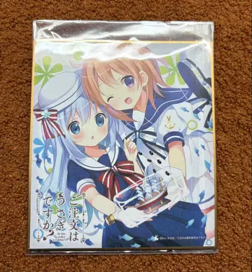 주문은 토끼입니까? 주문토끼 색지 치노 코코아