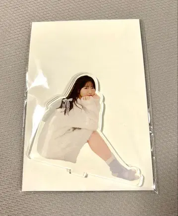 쿠루스 린 아크릴 스탠드 쿠루즈 FC 한정판