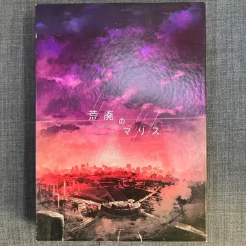 보드게임 황폐의 마리스 마더 미스터리