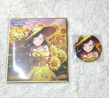 시라이시 안 색지 캔뱃지 세트