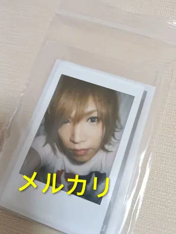 골든 폭격기 금폭 귀류인 쇼 폴라로이드 사진 새상품급