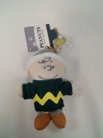 USJ 크리스마스 스누피 찰리 브라운 키링