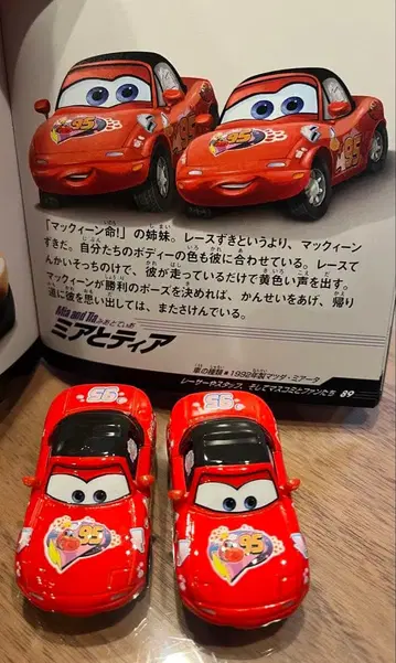 카즈 마텔사 미아 티어 2대 세트