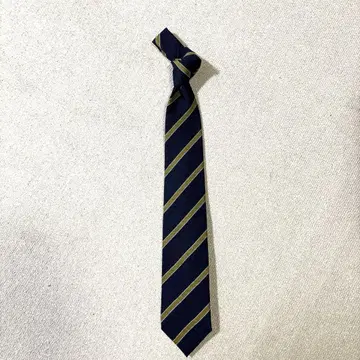 STEFANO BIGI 스테파노 비지 넥타이