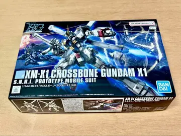 HG 1/144 XM-X1 CROSSBONE GUNDAM X1