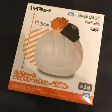 하이큐 스야스야 룸 라이트 히나타 쇼요