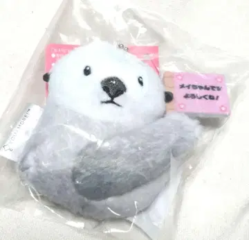 펠리시모 x 토바 수족관 해달 메이