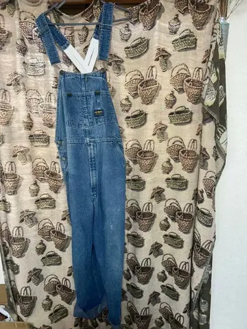 70's~80's OSHKOSH LOW-BACK overalls