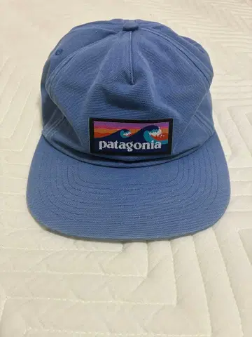 patagonia 파란색 로고 캡