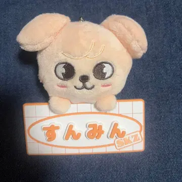 straykids skzoo PuppyM 승민 네임 백참