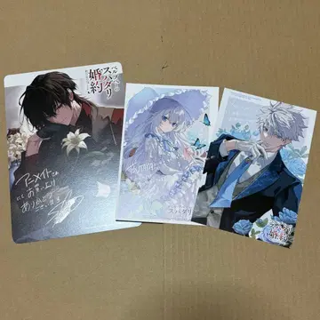 벨프페의 스파다리 약혼 멜론북스 애니메이트 TSUTAYA