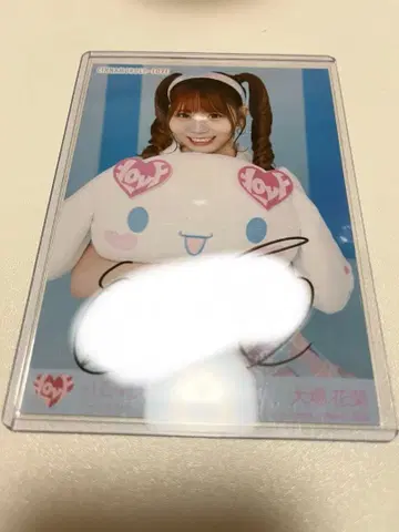 이코라브 오바 하나 시나몬 브로마이드 친필 중