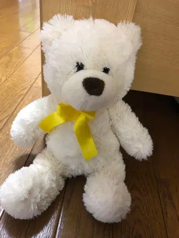 Animal Adventure 테디베어