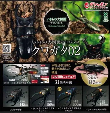 생물대도감 어드밴스 사슴벌레 02 가챠 컴플리트