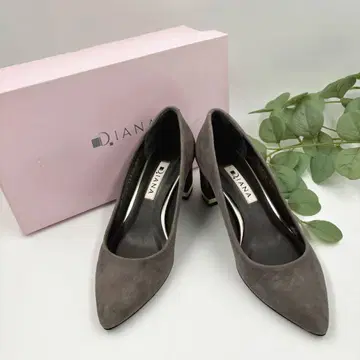 DIANA (다이애나) 스웨이드 스틸레토 펌프스 22cm