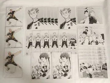 하이큐 보쿠토 코타로 크로니클