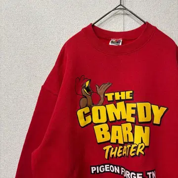 프룻 오브 더 룸 맨투맨 프린트 육중한 미국 빈티지 의류 XL 2988