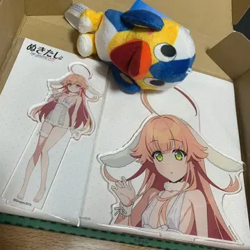 누키타시 히나미 아크릴 스탠드 하메도리 세트