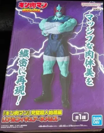 근육맨 완벽 초인 시조편 리얼 피규어 네메시스