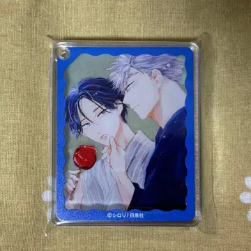 하나마루 그라테 콜로타 시로리