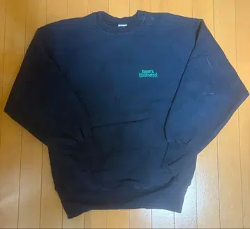 90s 챔피온 리버스 위브