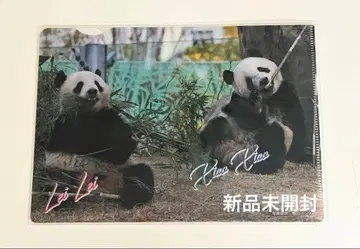 샤오샤오 & 레이레이 클리어 파일 우에노 마츠자카야