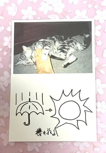 사쿠라이 아츠시 한신 아와지 대지진 차리티 엽서 BUCK-TICK