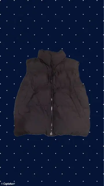 블랙 다운 베스트