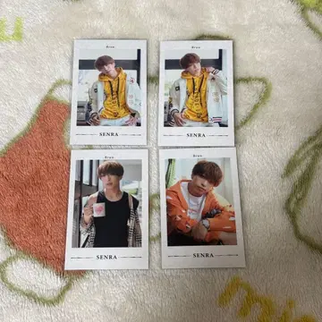 우라시마사카타센 센라 폴라로이드 미니 포토 카드 Brun