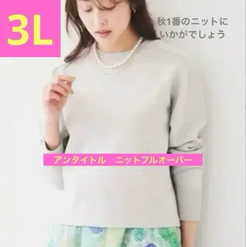 새상품 택 포함 UNTITLED 돌먼 슬리브 니트 풀오버 그레이