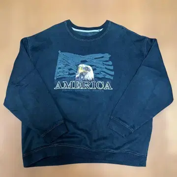 구제 의류 croft&barrow 이글 자수 성조기 맨투맨 L 그린