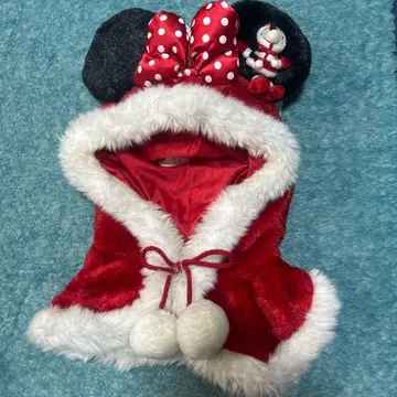 디즈니랜드 미니 팬캡 레어