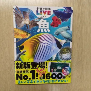 학켄의 도감 LIVE 물고기 DVD 부속