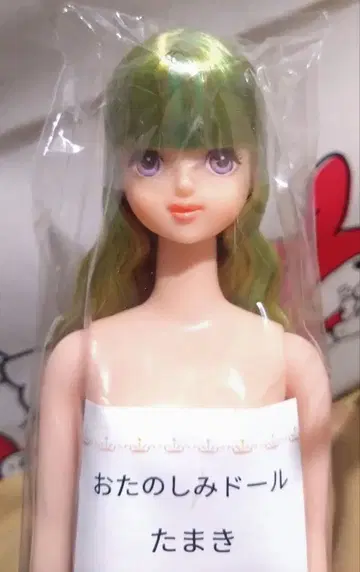 타마키 오타노시미 인형 리카짱 캐슬 옷 갈아입히기 인형 제니 프렌드