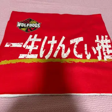 이치카와 켄타 픽업 타월 울프 도그스 나고야