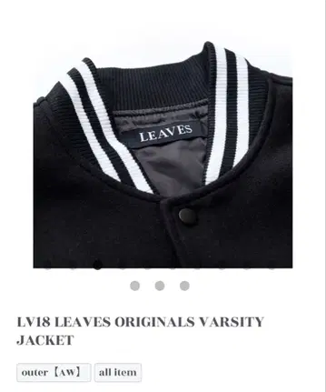 LV18 LEAVES ORIGINALS VARSITY JACKET