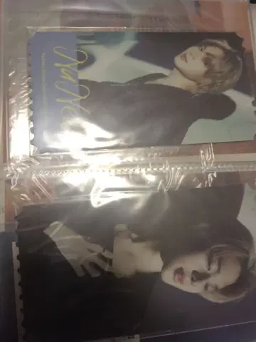 NuNew 한국 쇼케이스 카드 세트