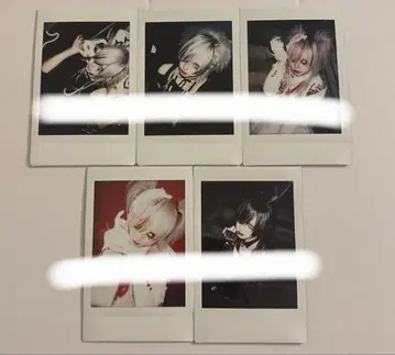 자아자아 영야 폴라로이드 세트 1