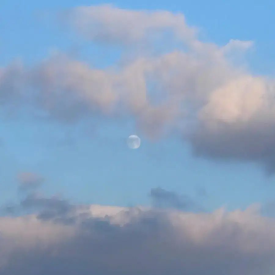 Ive Rei makestar ld poca