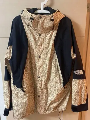 THE NORTH FACE 마운틴 후드티