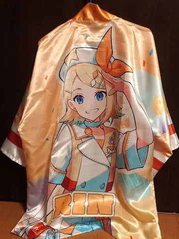 매지컬 미라이 2024 하피 카가미네 린