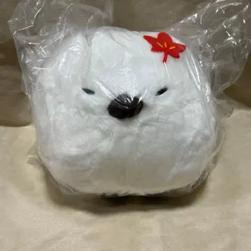 복복 시마연가 가을 컬러 절정 울트라 BIG 오시마 퍼플