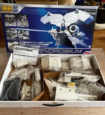 덴드로비움 MIA 본체 없음