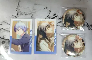 아오야기 토야 캔뱃지 에피카