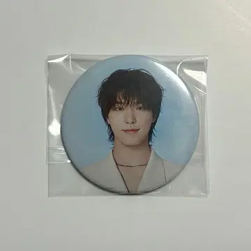 SEVENTEEN NEW 캔뱃지 디노