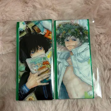 FGO 최종 재림전 편성 화면풍 카드 오베론